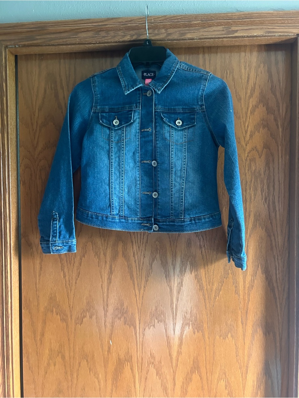 The Children's Place Blue Denim Jacket - Girls